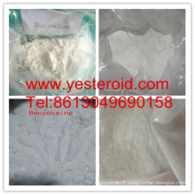 USP Standard Local Anasthesia Drug Hydrochloride Benzocaine HCl 23239-88-5